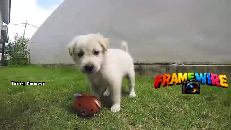 Test Video